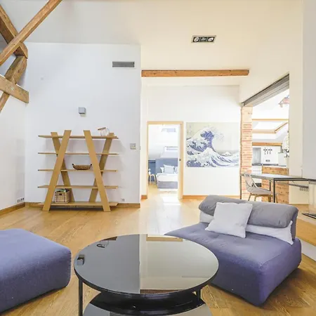 Le Loft - Hypercentre - Capitole - Clim Apartman *